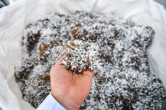 a man's hand full of recycled polyester chips