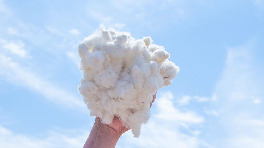 A hand holding a fluffy ball of cotton against a blue sky, representing sustainable activewear for swimmers.
