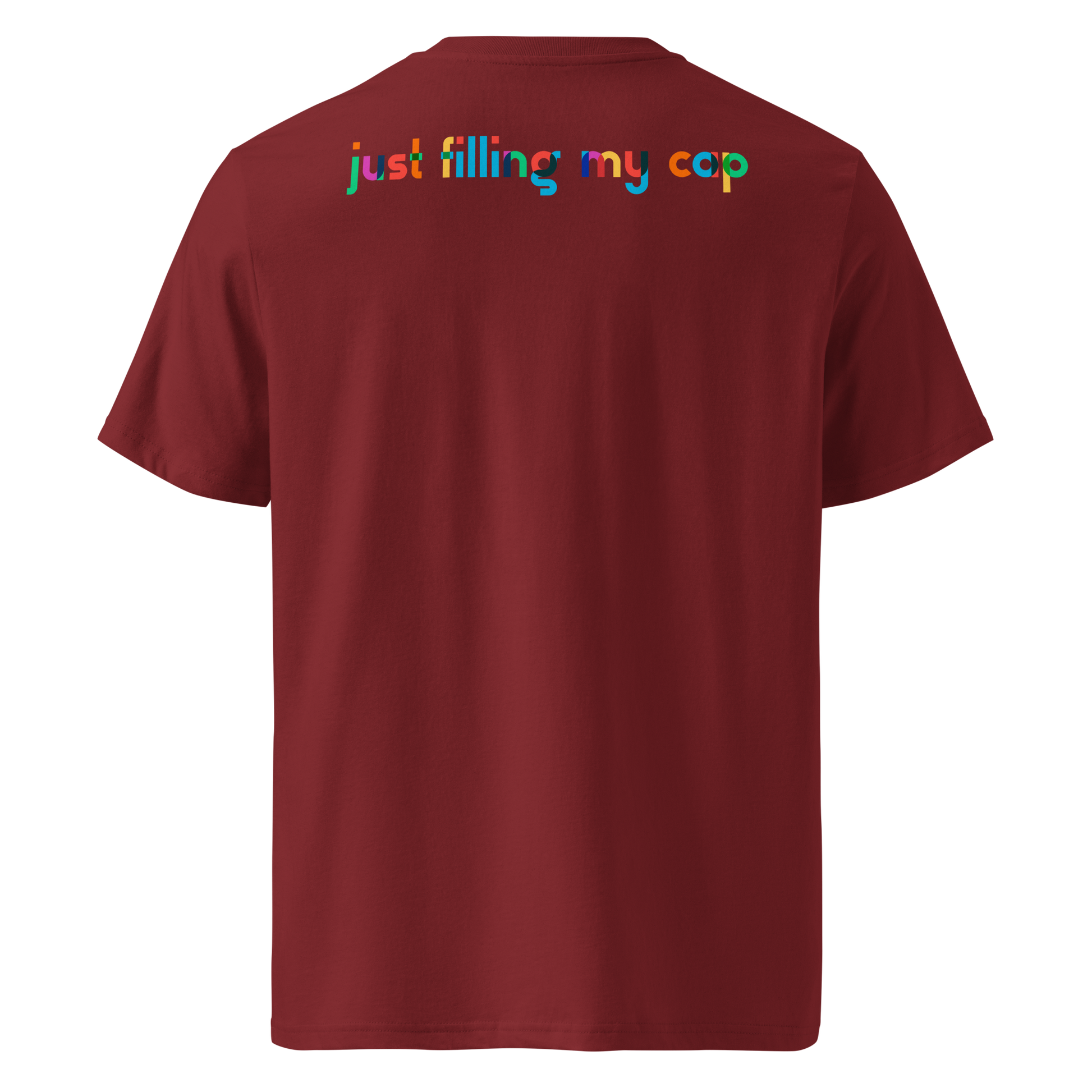 Maroon post swim organic cotton t-shirt with colorful swim-themed text on the back against a white background