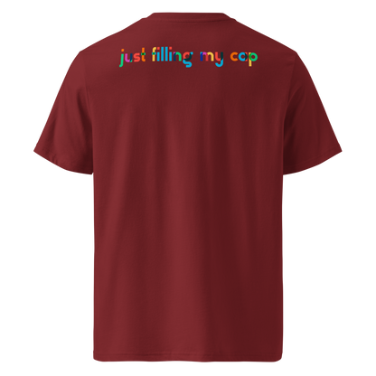 Maroon post swim organic cotton t-shirt with colorful swim-themed text on the back against a white background