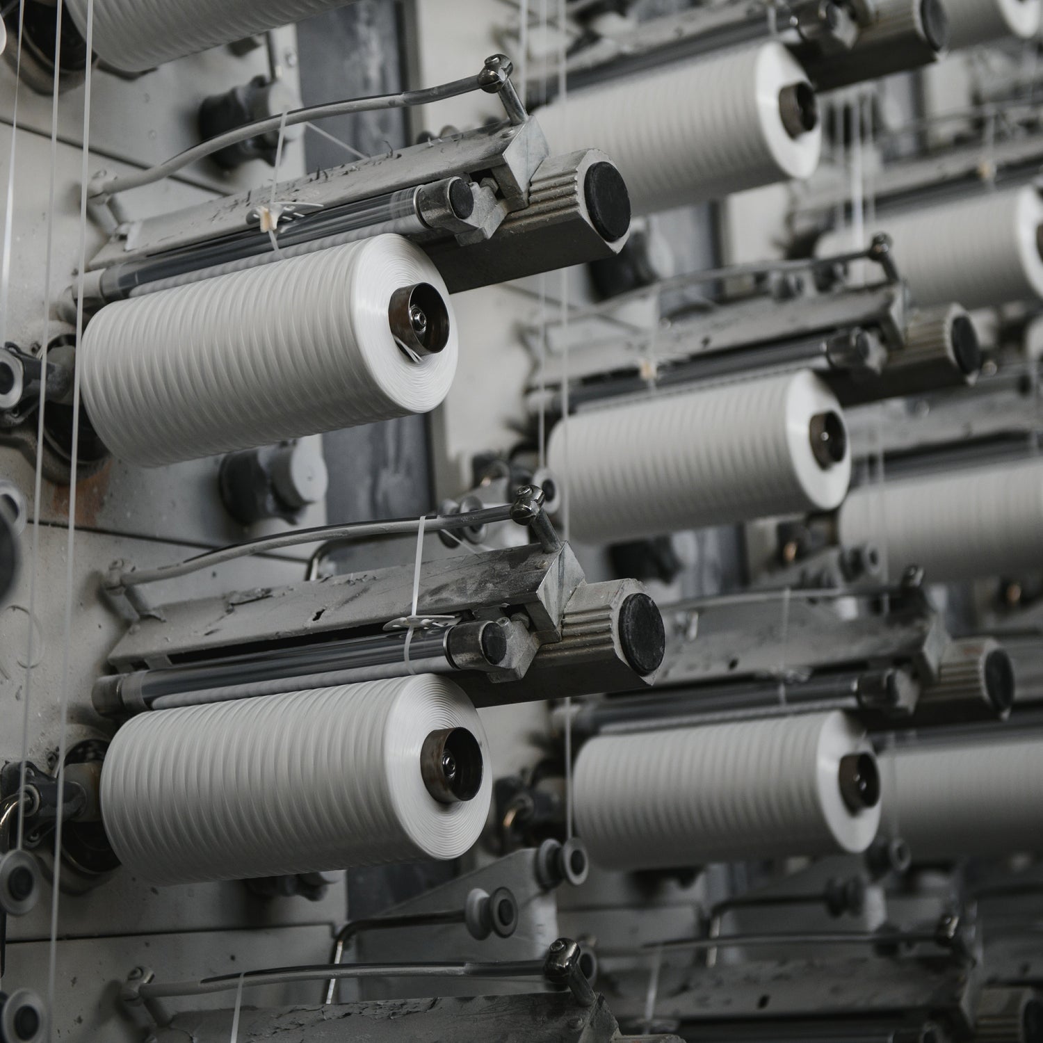 recycled polyester plant 